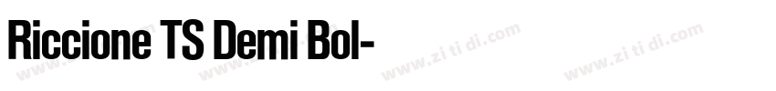 Riccione TS Demi Bol字体转换